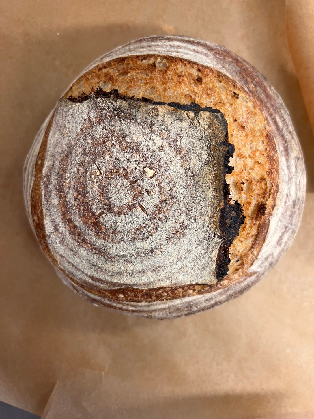 sourdough super fan box